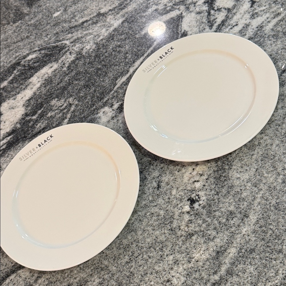 Las Vegas Raiders Allegiant Stadium Suite Hospitality Plates (set of 2) - Picture 4 of 6